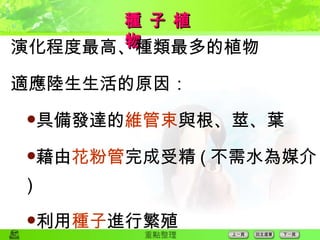 種 子 植 物 演化程度最高、種類最多的植物 適應陸生生活的原因： 具備發達的 維管束 與根、莖、葉 藉由 花粉管 完成受精 ( 不需水為媒介 ) 利用 種子 進行繁殖 