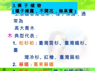  生殖器官是毬果，種子裸露，通常為 高大喬木  典型代表 ： 1.   松杉柏 ： 臺灣雲杉、臺灣鐵杉 、 臺 灣冷杉 、 紅檜、臺灣扁柏 2.   蘇鐵 ： 臺東蘇鐵 3.   銀杏 ： 公孫樹 ， 種子俗稱白果 3. 裸 子 植 物 ( 種子裸露，不開花，無果實 ) 