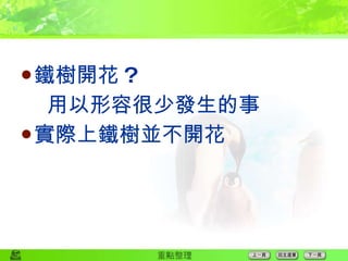 鐵樹開花 ? 用以形容很少發生的事 實際上鐵樹並不開花 