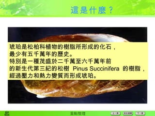 這是什麼 ? 琥珀是松柏科植物的樹脂所形成的化石， 最少有五千萬年的歷史。 特別是一種茂盛於二千萬至六千萬年前 的新生代第三紀的松樹  Pinus Succinifera  的樹脂， 經過壓力和熱力變質而形成琥珀。  
