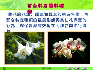 百合科及蘭科植物  蘭花的花瓣、雌蕊和雄蕊的構造特化，可配合特定種類的昆蟲形態與其訪花採蜜的行為，確保昆蟲有效地在同種花間進行傳粉 