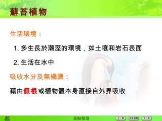 蘚苔植物 生活環境 ： 1. 多生長於潮溼的環境，如土壤和岩石表面 2. 生活在水中 吸收水分及無機鹽 ： 藉由 假根 或植物體本身直接自外界吸收 