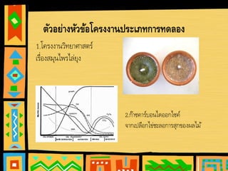 ตัวอย่างหัวข้อโครงงานประเภทการทดลอง
1.โครงงานวิทยาศาสตร์
เรื่องสมุนไพรไล่ยุง
2.ก๊าซคาร์บอนไดออกไซค์
จากเปลือกไข่ชะลอการสุกของผลไม้
 