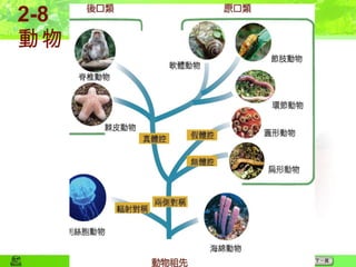 2 8動物 1