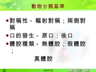 2 8動物 1