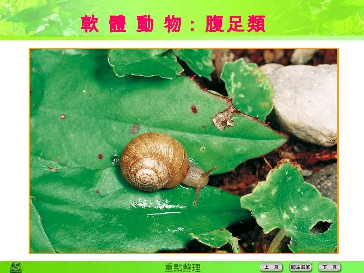 2 8動物 1