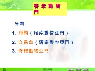  分類 1.  海鞘 （ 尾索動物亞門 ） 2.  文昌魚 （ 頭索動物亞門 ） 3.  脊椎動物亞門 脊 索 動 物 門 