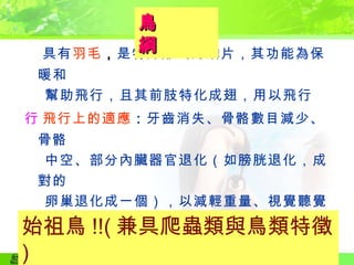  具有 羽毛 ， 是特殊形式的鱗片，其功能為保暖和 幫助飛行，且其前肢特化成翅，用以飛行  飛行上的適應 ： 牙齒消失、骨骼數目減少、骨骼 中空、部分內臟器官退化（如膀胱退化，成對的 卵巢退化成一個），以減輕重量、視覺聽覺敏銳  內溫動物 ( 恆溫動物 )  鳥類與肉食性恐龍有近親的關係 鳥　　綱  始祖鳥 !!( 兼具爬蟲類與鳥類特徵 ) 
