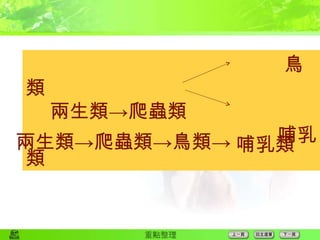 鳥類 兩生類->爬蟲類 哺乳類 兩生類->爬蟲類->鳥類-> 哺乳類 