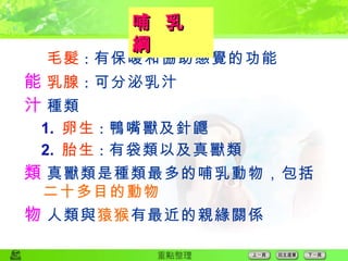 毛髮 ： 有保暖和協助感覺的功能  乳腺 ： 可分泌乳汁  種類 1.   卵生 ： 鴨嘴獸及針鼴 2.   胎生 ： 有袋類以及真獸類  真獸類是種類最多的哺乳動物，包括 二十多目的動物  人類與 猿猴 有最近的親緣關係 哺  乳  綱 