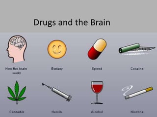 Drugs and the Brain
 