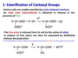 1- Esteriﬁcation of Carboxyl Groups
-Amino acids are readily esteriﬁed by acid-catalyzed reactions.
-An ethyl ester hydrochloride is obtained in ethanol in the
presence of HCl:




-The free ester is released from its salt by the action of alkali.
-A mixture of free esters can then be separated by distillation
without decomposition.
Fractional distillation of esters is the basis of a method introduced by Emil Fischer for the separation of amino acids
 