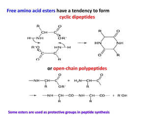 Free amino acid esters have a tendency to form
                        cyclic dipeptides




                        or open-chain polypeptides




Some esters are used as protective groups in peptide synthesis
 