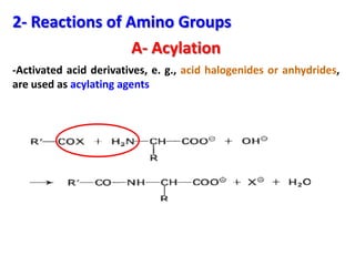 2- Reactions of Amino Groups
                 A- Acylation
-Activated acid derivatives, e. g., acid halogenides or anhydrides,
are used as acylating agents
 