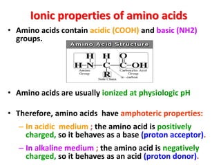 Ionic properties of amino acids
• Amino acids contain acidic (COOH) and basic (NH2)
  groups.




• Amino acids are usually ionized at physiologic pH

• Therefore, amino acids have amphoteric properties:
   – In acidic medium ; the amino acid is positively
     charged, so it behaves as a base (proton acceptor).
   – In alkaline medium ; the amino acid is negatively
     charged, so it behaves as an acid (proton donor).
 
