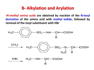B- Alkylation and Arylation
-N-methyl amino acids are obtained by reaction of the N-tosyl
derivative of the amino acid with methyl iodide, followed by
removal of the tosyl substituent with HBr
 