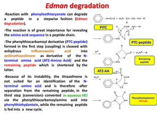 Edman degradation
-Reaction with phenylisothiocyanate can degrade
a peptide in a stepwise fashion (Edman
degradation).
                                                      PITC
-The reaction is of great importance for revealing
the amino acid sequence in a peptide chain.
-The phenylthiocarbamoyl derivative (PTC-peptide)             PTC-peptide
formed in the ﬁrst step (coupling) is cleaved with
anhydrous        triﬂuoroacetic      acid     into
anilinothiazolinone as derivative of the N-
                                                                   Remaining
terminal amino acid (ATZ-Amino Acid) and the                        peptide
remaining peptide which is shortened by the
latter.                                              ATZ-AA
-Because of its instability, the thiazolinone is
not suited for an identiﬁcation of the N-
terminal amino acid and is therefore -after
separation from the remaining peptide, in the
third step (conversion)- converted in aqueous HCl
                                                              Phenylthiohydantoin
via the phenylthiocarbamoylamino acid into                          PTH-AA
phenylthiohydantoin, while the remaining peptide
is fed into a new cycle.
 