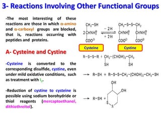 3- Reactions Involving Other Functional Groups
 -The most interesting of these
 reactions are those in which α-amino
 and α-carboxyl groups are blocked,
 that is, reactions occurring with
 peptides and proteins.
                                         Cysteine   Cystine
 A- Cysteine and Cystine
 -Cysteine is converted to the
 corresponding disulﬁde, cystine, even
 under mild oxidative conditions, such
 as treatment with I2.

 -Reduction of cystine to cysteine is
 possible using sodium borohydride or
 thiol reagents (mercaptoethanol,
 dithiothreitol).
 