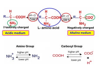 Acidic medium   Alkaline medium
 