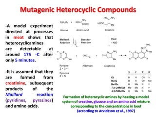 Mutagenic Heterocyclic Compounds
-A model experiment
directed at processes
in meat shows that
heterocyclicamines
are    detectable  at
around 175 ◦C after
only 5 minutes.

-It is assumed that they
are      formed     from
creatinine, subsequent
products      of      the
Maillard         reaction    Formation of heterocyclic amines by heating a model
(pyridines, pyrazines)      system of creatine, glucose and an amino acid mixture
and amino acids.                 corresponding to the concentrations in beef
                                     (according to Arvidsson et al., 1997)
 
