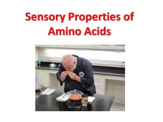 Sensory Properties of
    Amino Acids
 