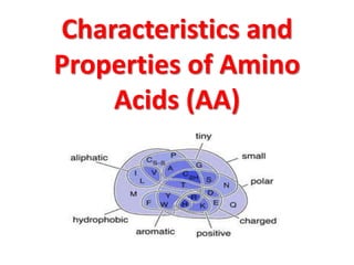 Characteristics and
Properties of Amino
    Acids (AA)
 