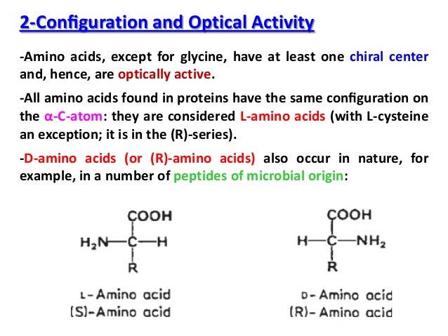 Characteristics and Properties of Amino Acids (AA)