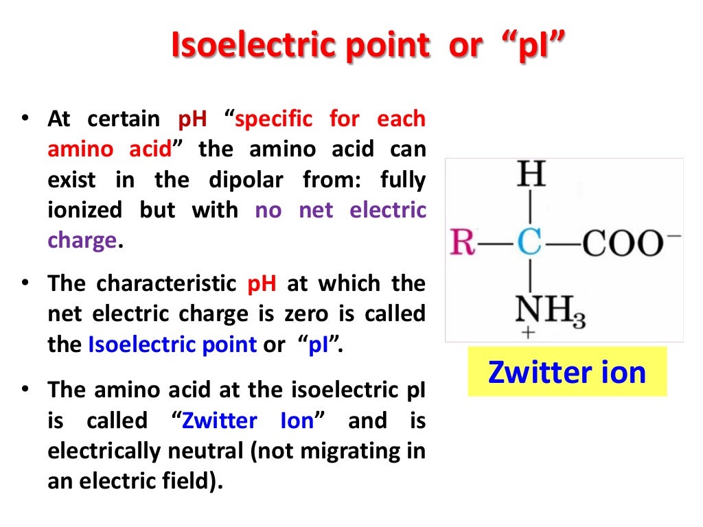 Characteristics and Properties of Amino Acids (AA)