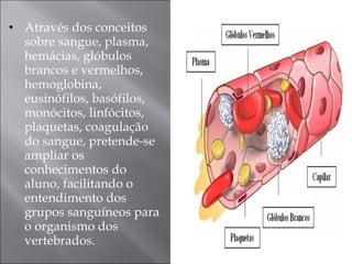 Através dos conceitos sobre sangue, plasma, hemácias, glóbulos brancos e vermelhos, hemoglobina, eusinófilos, basófilos, monócitos, linfócitos, plaquetas, coagulação do sangue, pretende-se ampliar os conhecimentos do aluno, facilitando o entendimento dos grupos sanguíneos para o organismo dos vertebrados. 