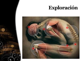 Exploración