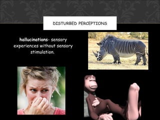 DISTURBED PERCEPTIONS



  hallucinations- sensory
experiences without sensory
        stimulation.
 