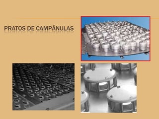 PRATOS DE CAMPÂNULAS
 