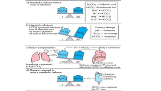 2- Acid Base Balance Balance biochemistry.pptx