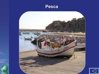 Pesca 