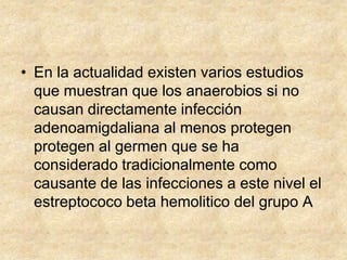 • En la actualidad existen varios estudios
que muestran que los anaerobios si no
causan directamente infección
adenoamigdaliana al menos protegen
protegen al germen que se ha
considerado tradicionalmente como
causante de las infecciones a este nivel el
estreptococo beta hemolitico del grupo A
 