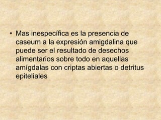 • Mas inespecífica es la presencia de
caseum a la expresión amigdalina que
puede ser el resultado de desechos
alimentarios sobre todo en aquellas
amígdalas con criptas abiertas o detritus
epiteliales
 