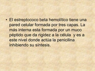 • El estreptococo beta hemolítico tiene una
pared celular formada por tres capas. La
más interna esta formada por un muco
péptido que da rigidez a la célula y es a
este nivel donde actúa la penicilina
inhibiendo su síntesis.
 