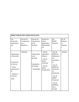 DIRECTOR DE RECURSOS HUMANOS
Gte.
Desarrollo
Organizacio
nal
Gerente de
Compensacio
nes y
Beneficios
Gerente de
Administraci
ón de
Personal
Gerente de
Salud,
Seguridad y
Medioambie
nte
Gte.
RRHH
Negocios
Gte de
Relacion
es
Laborale
s
-
Capacitación
y Desarrollo
-
Comunicaci
ón Interna
- Clima
organizacion
al
- Empleos y
selección
-RSE
Analistas -
Administraci
ón de
personal
-
Liquidación
de sueldos
- Expatriados
- Jefe de
Seguridad e
Higiene
- Jefe de
Medio
Ambiente
- Jefe de
Salud
Ocupacional
- Gte de
RRHH de
Refinamien
to y
petroquími
ca
- Gte de
RRHH de
Exploració
n y
producción
- Gte de
RRHH
Comercial
- Gte de
RRHH de
Gas y
Energía
Analista
s
 