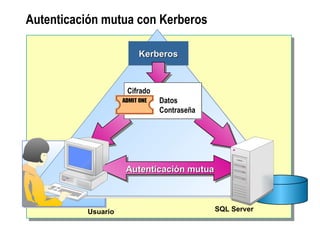 Autenticación mutua con Kerberos SQL Server Autenticación mutua Usuario Kerberos Cifrado Datos Contraseña 