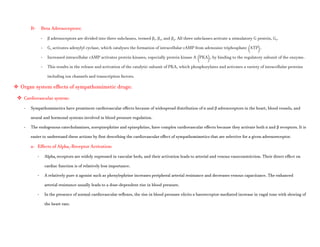 B- Beta Adrenoceptors:
- β adrenoceptors are divided into three subclasses, termed β1, β2, and β3. All three subclasses activate a stimulatory G protein, Gs.
- Gs activates adenylyl cyclase, which catalyses the formation of intracellular cAMP from adenosine triphosphate (ATP).
- Increased intracellular cAMP activates protein kinases, especially protein kinase A (PKA), by binding to the regulatory subunit of the enzyme.
- This results in the release and activation of the catalytic subunit of PKA, which phosphorylates and activates a variety of intracellular proteins
including ion channels and transcription factors.
 Organ system effects of sympathomimetic drugs:
 Cardiovascular system:
- Sympathomimetics have prominent cardiovascular effects because of widespread distribution of α and β adrenoceptors in the heart, blood vessels, and
neural and hormonal systems involved in blood pressure regulation.
- The endogenous catecholamines, norepinephrine and epinephrine, have complex cardiovascular effects because they activate both α and β receptors. It is
easier to understand these actions by first describing the cardiovascular effect of sympathomimetics that are selective for a given adrenoreceptor.
a- Effects of Alpha1-Receptor Activation:
- Alpha1 receptors are widely expressed in vascular beds, and their activation leads to arterial and venous vasoconstriction. Their direct effect on
cardiac function is of relatively less importance.
- A relatively pure α agonist such as phenylephrine increases peripheral arterial resistance and decreases venous capacitance. The enhanced
arterial resistance usually leads to a dose-dependent rise in blood pressure.
- In the presence of normal cardiovascular reflexes, the rise in blood pressure elicits a baroreceptor-mediated increase in vagal tone with slowing of
the heart rate.
 