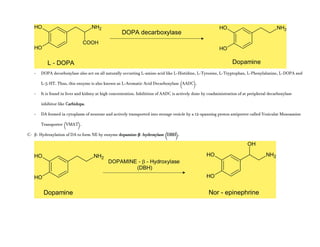 - DOPA decarboxylase also act on all naturally occurring L-amino acid like L-Histidine, L-Tyrosine, L-Tryptophan, L-Phenylalanine, L-DOPA and
L-5-HT. Thus, this enzyme is also known as L-Aromatic Acid Decarboxylase (AADC).
- It is found in liver and kidney at high concentration. Inhibition of AADC is actively done by coadministration of at peripheral decarboxylase
inhibitor like Carbidopa.
- DA formed in cytoplasm of neurone and actively transported into storage vesicle by a 12-spanning proton antiporter called Vesicular Monoamine
Transporter (VMAT).
C- β- Hydroxylation of DA to form NE by enzyme dopamine-β -hydroxylase (DBH).
 