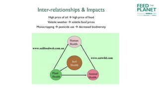 Inter-relationships & Impacts
High price of oil à high price of food
Volatile weather à volatile food prices
Monocropping à pesticide use à decreased biodiversity
FEED
PLANET
Founded by WORLDCHEFS
THE
Powered by Electrolux and AIESEC
 