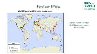 Fertilizer Effects
Nutrient run-off promotes
algal blooms and creates
Dead Zones
FEED
PLANET
Founded by WORLDCHEFS
THE
Powered by Electrolux and AIESEC
 