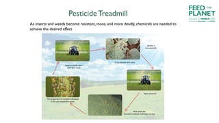 Pesticide Treadmill
As insects and weeds become resistant, more, and more deadly, chemicals are needed to
achieve the desired effect
FEED
PLANET
Founded by WORLDCHEFS
THE
Powered by Electrolux and AIESEC
 