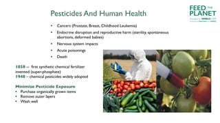 Pesticides And Human Health
• Cancers (Prostate, Breast, Childhood Leukemia)
• Endocrine disruption and reproductive harm (sterility, spontaneous
abortions, deformed babies)
• Nervous system impacts
• Acute poisonings
• Death
Minimize Pesticide Exposure
• Purchase organically grown items
• Remove outer layers
• Wash well
1850 -- first synthetic chemical fertilizer
invented (super-phosphate)
1948 – chemical pesticides widely adopted
FEED
PLANET
Founded by WORLDCHEFS
THE
Powered by Electrolux and AIESEC
 