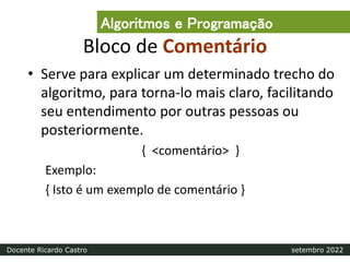 Bloco de Comentário
• Serve para explicar um determinado trecho do
algoritmo, para torna-lo mais claro, facilitando
seu entendimento por outras pessoas ou
posteriormente.
{ <comentário> }
Exemplo:
{ Isto é um exemplo de comentário }
Algoritmos e Programação
Docente Ricardo Castro setembro 2022
 