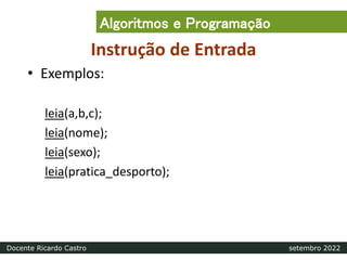 Instrução de Entrada
• Exemplos:
leia(a,b,c);
leia(nome);
leia(sexo);
leia(pratica_desporto);
Algoritmos e Programação
Docente Ricardo Castro setembro 2022
 