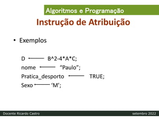 Instrução de Atribuição
• Exemplos
D B^2-4*A*C;
nome “Paulo”;
Pratica_desporto TRUE;
Sexo ‘M’;
Algoritmos e Programação
Docente Ricardo Castro setembro 2022
 