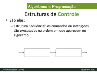 Estruturas de Controle
• São elas:
– Estrutura Sequêncial: os comandos ou instruções
são executados na ordem em que aparecem no
algoritmo.
Algoritmos e Programação
Docente Ricardo Castro setembro 2022
 