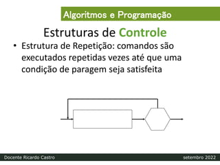 Estruturas de Controle
• Estrutura de Repetição: comandos são
executados repetidas vezes até que uma
condição de paragem seja satisfeita
Algoritmos e Programação
Docente Ricardo Castro setembro 2022
 